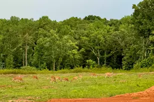 160 Smith Motors Dr, Belton, SC 29627 - Photo 38