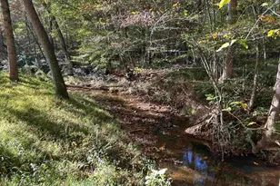 994 Chestnut Ridge Rd, Gaffney, SC 29340 - Photo 20