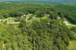 4937 Buffalo-West Springs Hwy, Pauline, SC 29374 - Photo 42