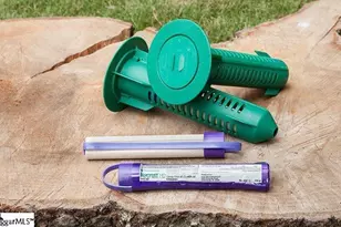 419 Barbican Pl, Greenville, SC 29605 - Photo 32