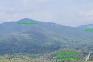 262 Belvoir Dr, Pickens, SC 29671 - Photo 48