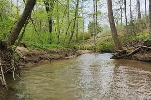 262 Belvoir Dr, Pickens, SC 29671 - Photo 50