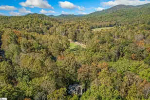 262 Belvoir Dr, Pickens, SC 29671 - Photo 38