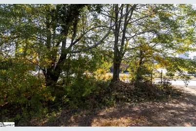 0 Chandler Road, Greer, SC 29651 - Photo 36