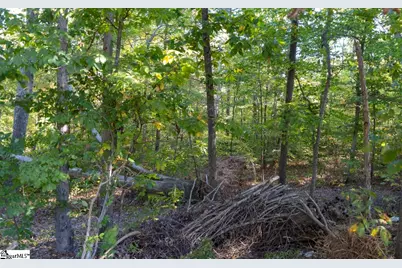 0 Chandler Road, Greer, SC 29651 - Photo 44