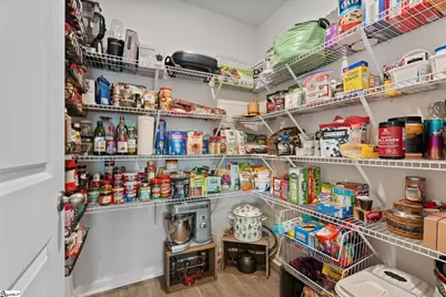 1349 Ledsham Court, Greer, SC 29651 - Photo 8