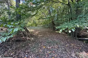 585 Mountain Creek Rd, Greenville, SC 29609 - Photo 34