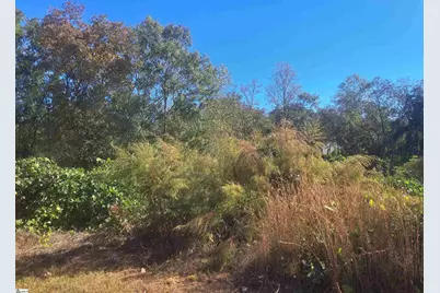 64 Juneau Court, Greenville, SC 29605 - Photo 4