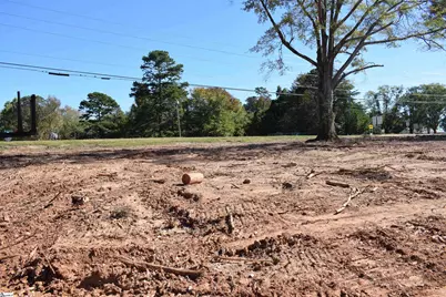 102 Horton Road #Lot A, Campobello, SC 29322 - Photo 8