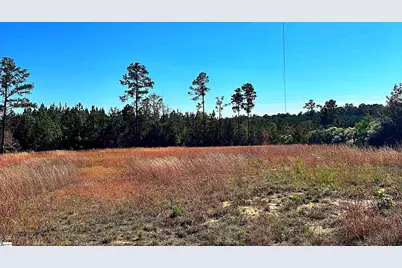 00 Riverfork Road, Waterloo, SC 29384 - Photo 2