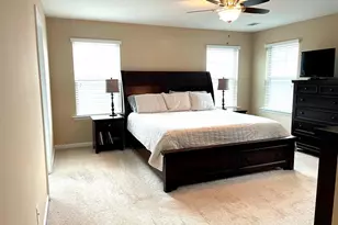 9 Nickel Springs Dr, Easley, SC 29642 - Photo 12