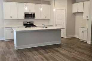 334 Alyssa Lndg Dr, Fountain Inn, SC 29644 - Photo 6