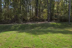 334 Alyssa Lndg Dr, Fountain Inn, SC 29644 - Photo 10