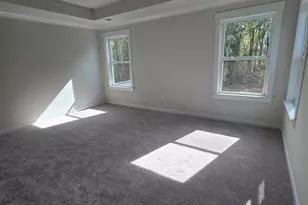 334 Alyssa Lndg Dr, Fountain Inn, SC 29644 - Photo 18