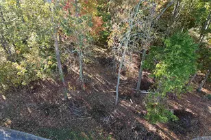 107 Woodland Hills Ln, Fountain Inn, SC 29644 - Photo 10