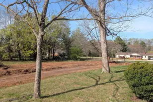 6025 Mountain View Rd, Taylors, SC 29687 - Photo 44