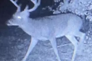 210 Graystone Rd, Jonesville, SC 29353 - Photo 22