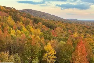 19 Tropicana Ct, Greenville, SC 29609 - Photo 50