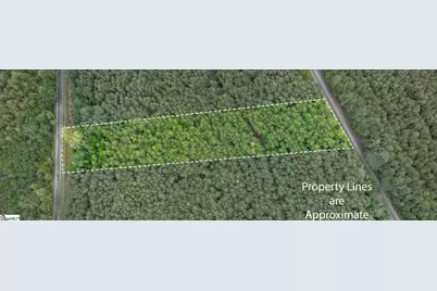 00 Shrine Club Road, Waterloo, SC 29384 - Photo 2