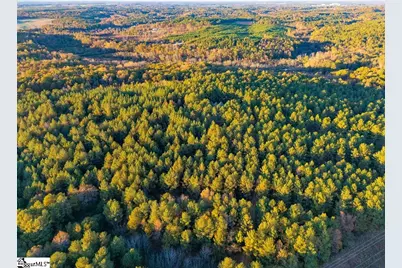 1907 Mountain Creek Church Road, Starr, SC 29684 - Photo 26