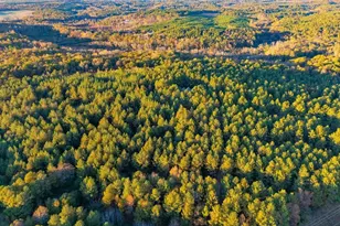 1907 Mountain Creek Church Rd, Starr, SC 29684 - Photo 26