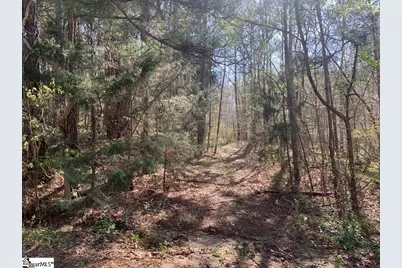 0 Dogwood Lane, Abbeville, SC 29620 - Photo 14