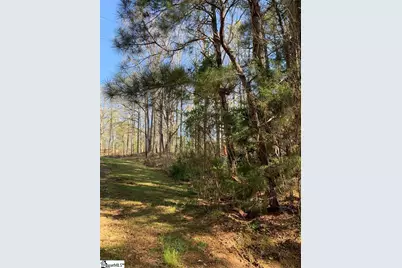 0 Dogwood Lane, Abbeville, SC 29620 - Photo 10