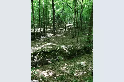 0 Dogwood Lane, Abbeville, SC 29620 - Photo 8