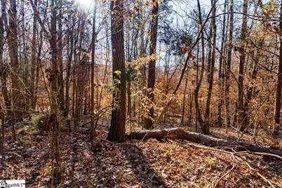 0 Dogwood Lane, Abbeville, SC 29620 - Photo 20