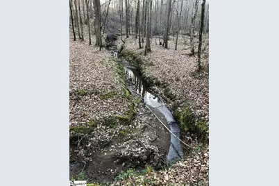 0 Dogwood Lane, Abbeville, SC 29620 - Photo 22