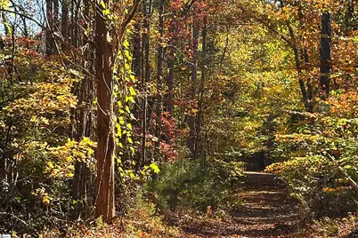 45 Deer Meadows Road, Laurens, SC 29360 - Photo 8