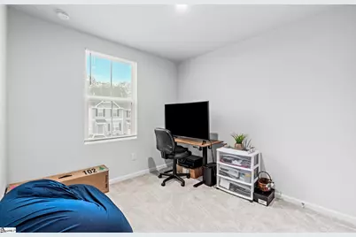 317 Cinerea Way, Greer, SC 29651 - Photo 16