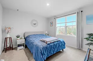 317 Cinerea Wy, Greer, SC 29651 - Photo 18