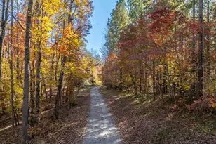 10105 E Nc Hwy 108, Mill Spring, NC 28756 - Photo 2