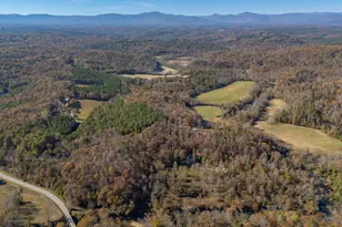 10105 E Nc Hwy 108, Mill Spring, NC 28756 - Photo 44