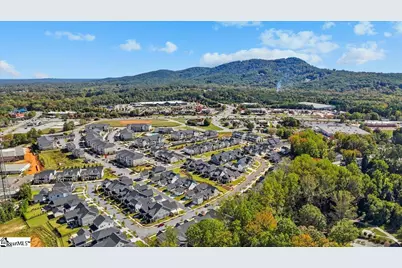 28 Herty Drive, Travelers Rest, SC 29690 - Photo 38