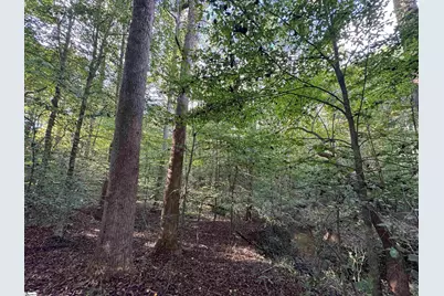 499 Acker Road, Anderson, SC 29624 - Photo 8