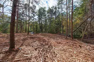 Tract 4 Hwy 178, Anderson, SC 29621 - Photo 6