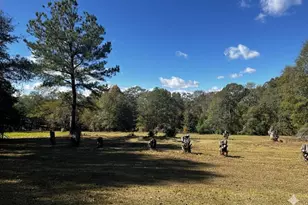 859 Cooper Bridge Rd, Fountain Inn, SC 29644 - Photo 40