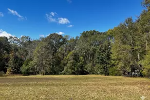 859 Cooper Bridge Rd, Fountain Inn, SC 29644 - Photo 42