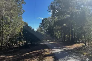 859 Cooper Bridge Rd, Fountain Inn, SC 29644 - Photo 38