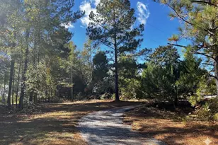 859 Cooper Bridge Rd, Fountain Inn, SC 29644 - Photo 46