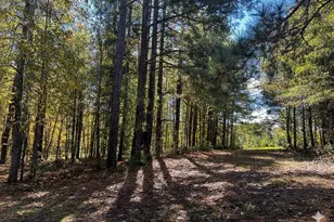 859 Cooper Bridge Rd, Fountain Inn, SC 29644 - Photo 44