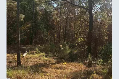 1206 Cheek Circle, Gray Court, SC 29645 - Photo 1