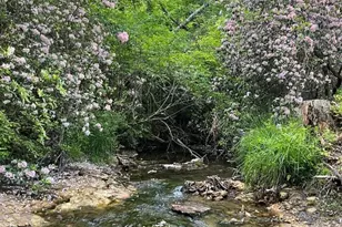 116 Edens Shoals Ct, Six Mile, SC 29682 - Photo 48