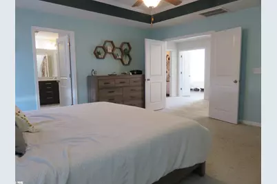 909 Deephallow Place, Greer, SC 29651 - Photo 24