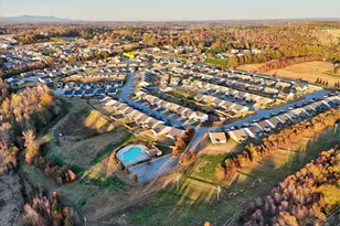 4 Orch Crst Ct, Greer, SC 29651 - Photo 38