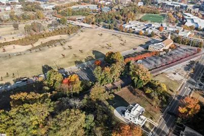 316 Birnie Street, Greenville, SC 29601 - Photo 42