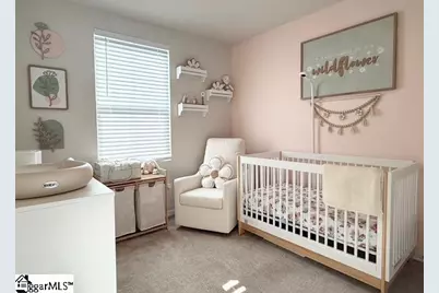 216 Juglans Way, Greer, SC 29651 - Photo 12