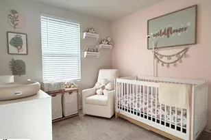 216 Juglans Way, Greer, SC 29651 - Photo 12